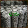 electro galvanized welded wire mesh for sale